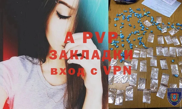 ПСИЛОЦИБИНОВЫЕ ГРИБЫ Горнозаводск