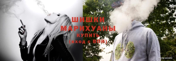 ПСИЛОЦИБИНОВЫЕ ГРИБЫ Горнозаводск