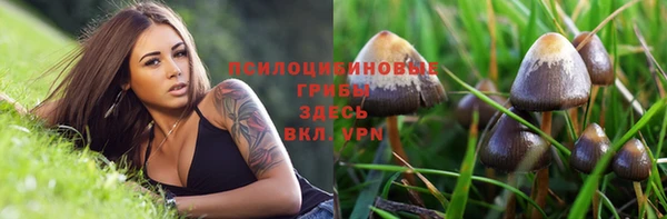 индика Горняк