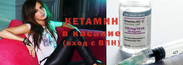индика Горняк