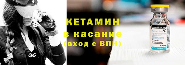 индика Горняк