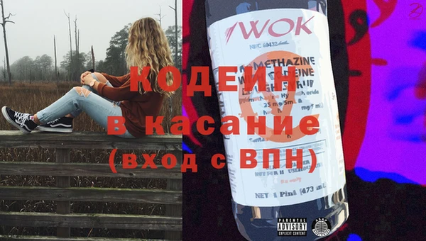 индика Горняк