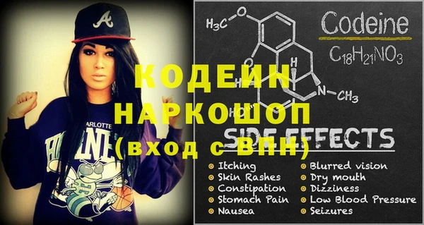 индика Горняк