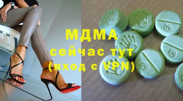 индика Горняк