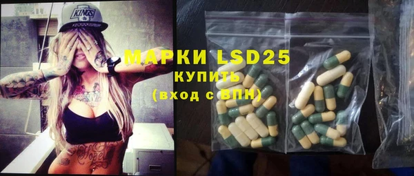 индика Горняк