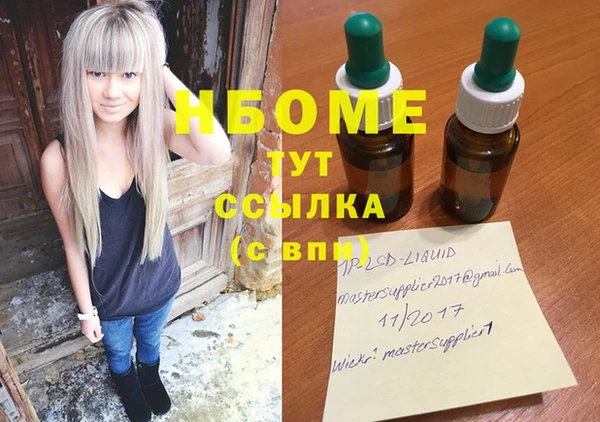индика Горняк